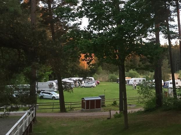 Vy över campingplatsen vid Skogssjön. Tallar i förgrunden och ett antal husvagnar och bilar står i det gröna gräset.