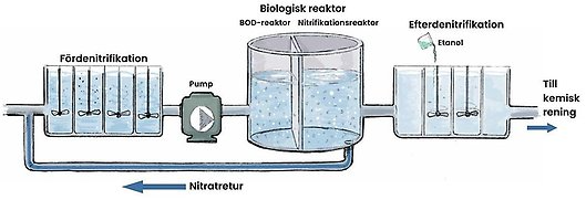 mjölkulla reningsverk biologisk rening