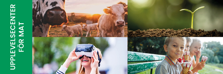 Kollage med bilder, kor på en äng, barn som äter glass, en späd planta och en ung kvinna som tittar i ett par VR-glasögon. 