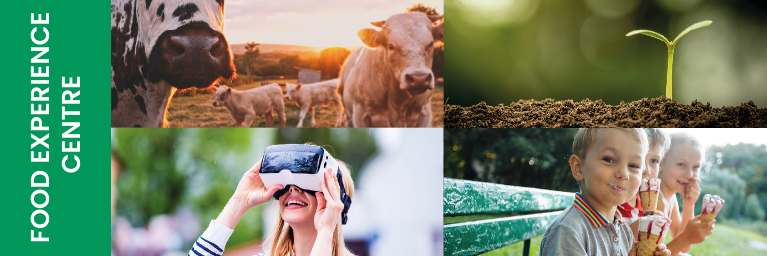  A collage with pictures, children eating ice cream, cows in a paddock, a woman looking in virtual reality glasses.