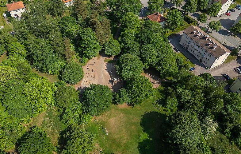 Vasaparken i Mjölby som visar trädtoppar och grönyta. Tagen med drönare.