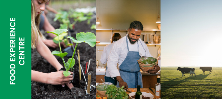 Several photos in one, a chef plating food, a white hen and a young woman in her vegetable garden.