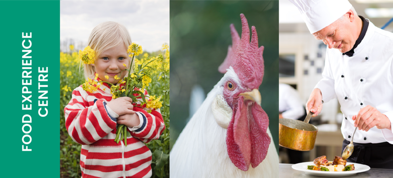 Several photos in one, a chef plating food, a white hen and a young woman in her vegetable garden.