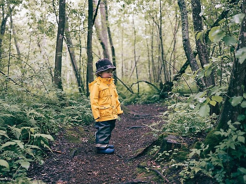 pojke skog regn