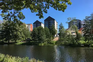 Vatten och grönska med flerbostadshus och radhus på andra sidan vattnet