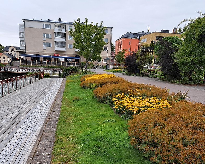 Visar platsen där den nya planteringen ska anläggas och hur planteringen ser ut idag.